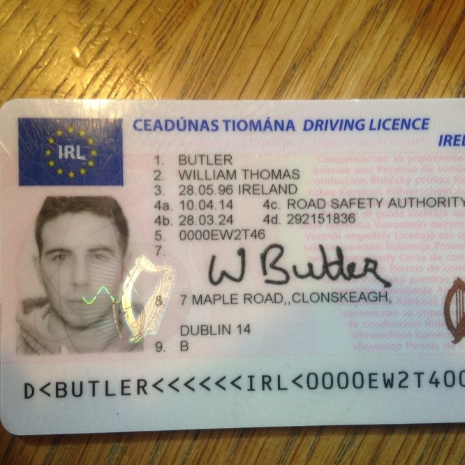 Buy Irish Driver's license online